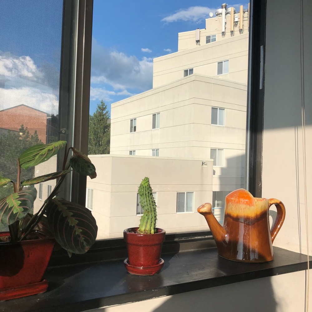 Meet your Posher, Bhavna